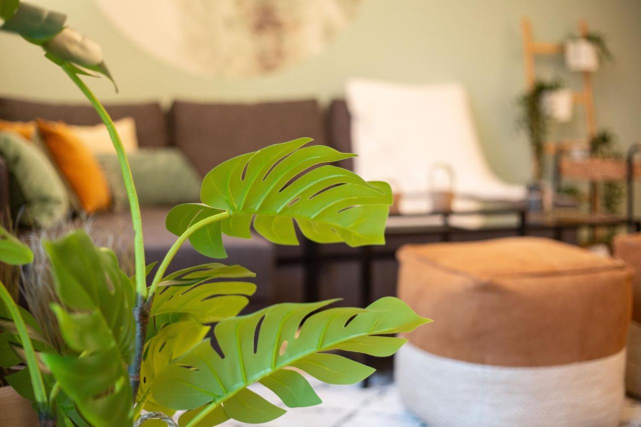 Green & Cozy Apartment - 15 Min To City Center ウィーン エクステリア 写真