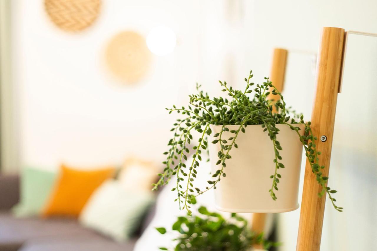 Green & Cozy Apartment - 15 Min To City Center ウィーン エクステリア 写真